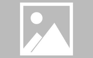 蚌埠新区景区网站建设（in art criticism,you must assume）